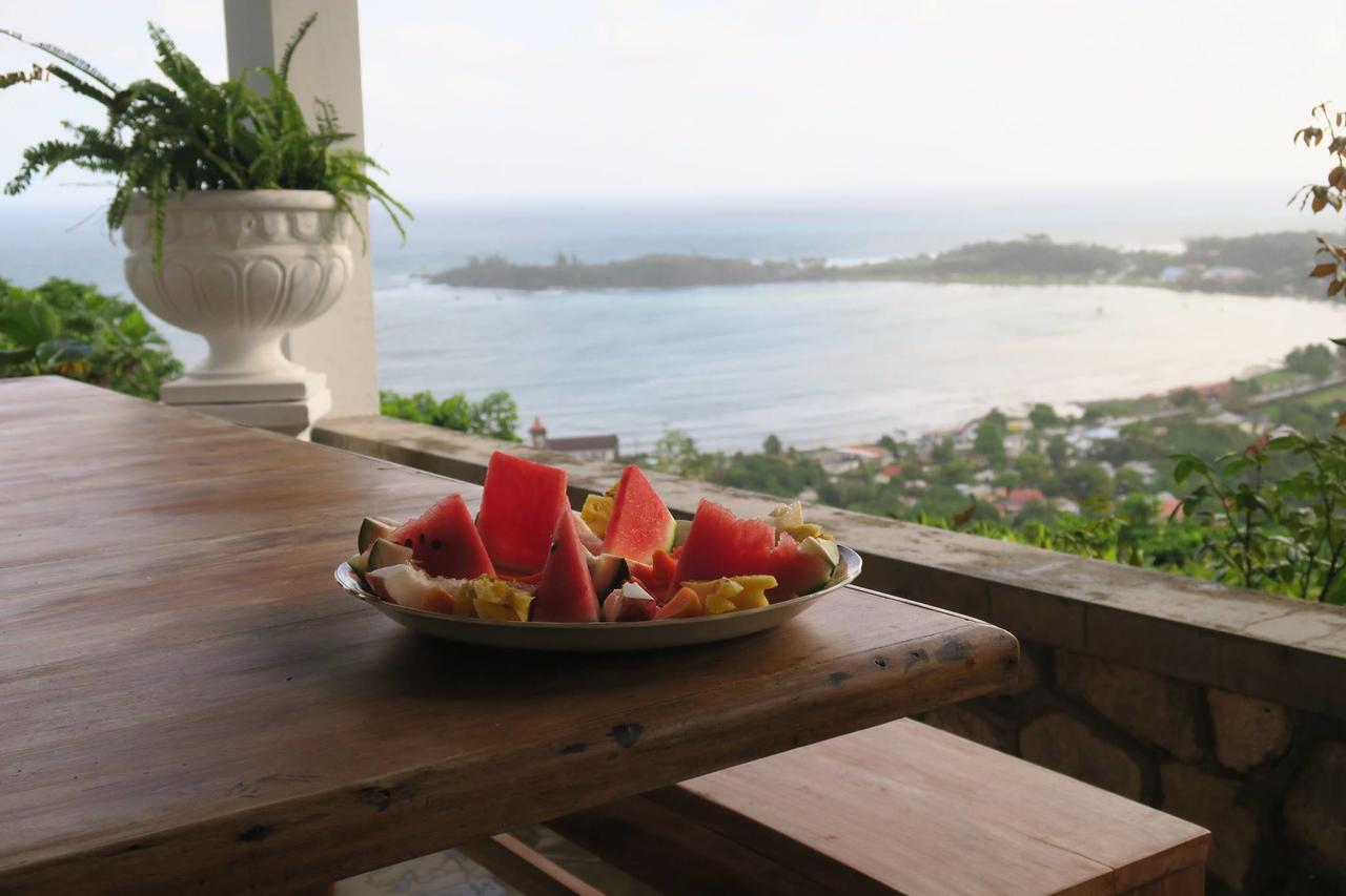 Treetops Villa ポート・アントニオ エクステリア 写真